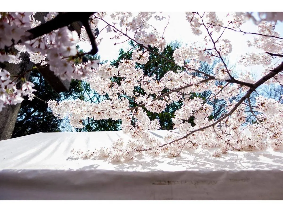 Apartment Tora Hotel Taito - Vacation Stay 53094V Tokyo